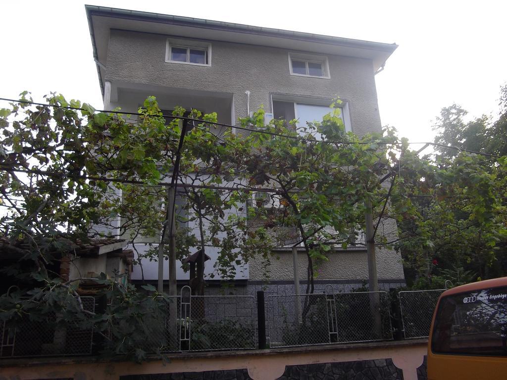 היסריה Sakutski House מראה חיצוני תמונה